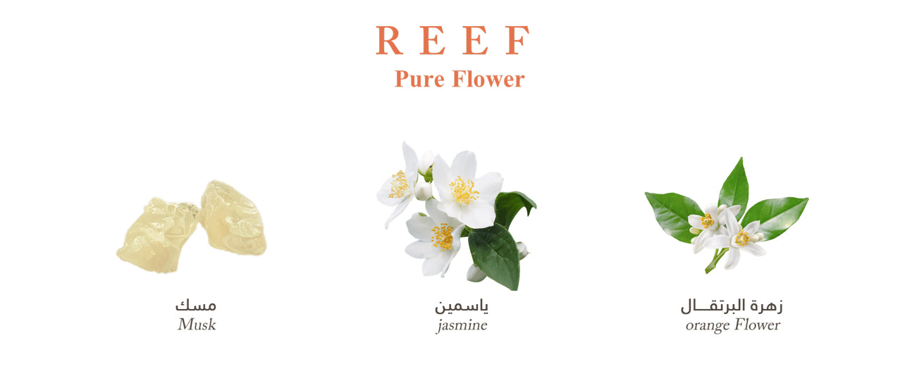 Reef- Pure Flower